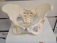 Sq lab ergonomiesysteem, bwjr: 2020 - afbeelding 10 van  10