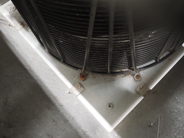 St fans - afbeelding 6 van  9