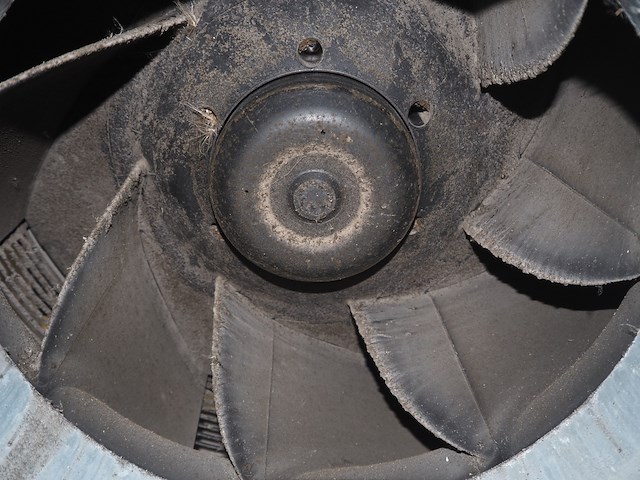 St fans - afbeelding 8 van  9