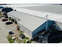 Staalconstructie (12,50x39,37 mtr) (525 m2) - afbeelding 1 van  38