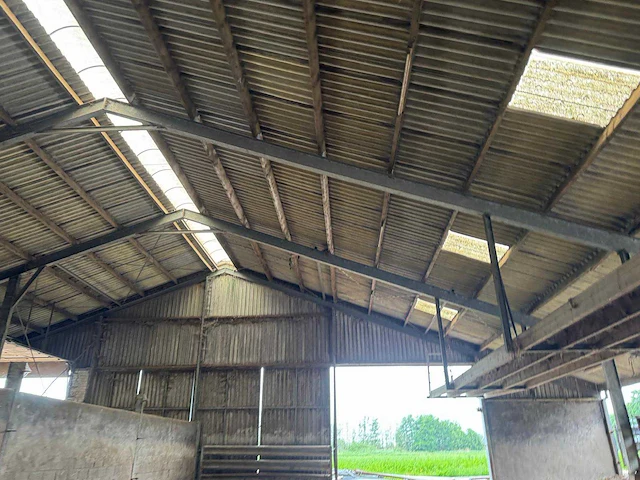Staalconstructie (31,00x60,00 mtr) (1860m²) - afbeelding 2 van  21