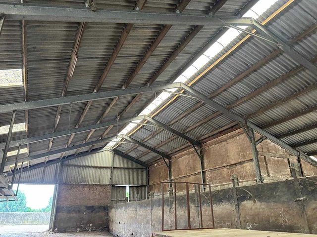 Staalconstructie (31,00x60,00 mtr) (1860m²) - afbeelding 3 van  21