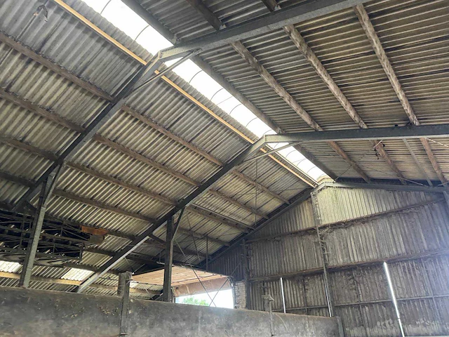 Staalconstructie (31,00x60,00 mtr) (1860m²) - afbeelding 4 van  21