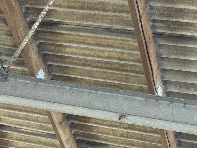 Staalconstructie (31,00x60,00 mtr) (1860m²) - afbeelding 5 van  21