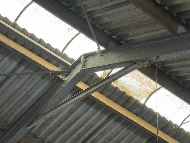 Staalconstructie (31,00x60,00 mtr) (1860m²) - afbeelding 6 van  21