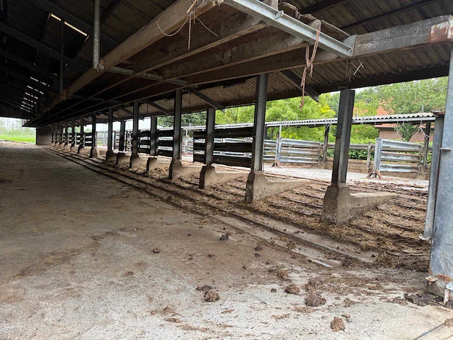 Staalconstructie (31,00x60,00 mtr) (1860m²) - afbeelding 7 van  21