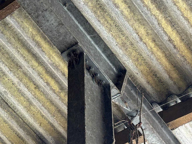 Staalconstructie (31,00x60,00 mtr) (1860m²) - afbeelding 8 van  21