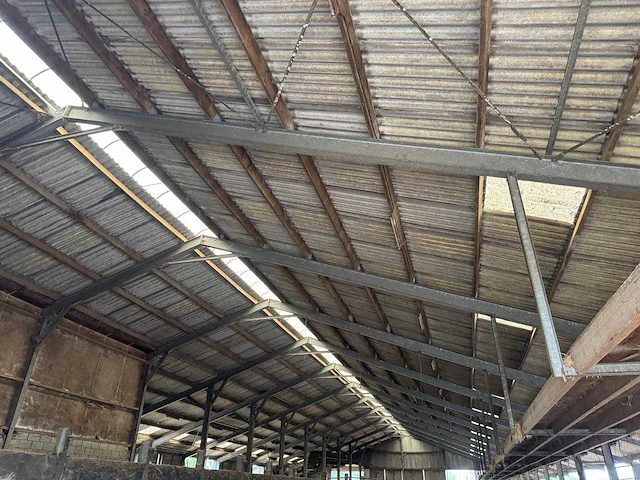 Staalconstructie (31,00x60,00 mtr) (1860m²) - afbeelding 10 van  21