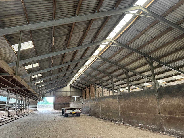 Staalconstructie (31,00x60,00 mtr) (1860m²) - afbeelding 1 van  21