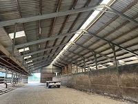 Staalconstructie (31,00x60,00 mtr) (1860m²)
