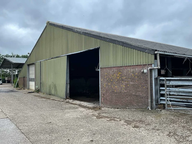 Staalconstructie (31,00x60,00 mtr) (1860m²) - afbeelding 13 van  21