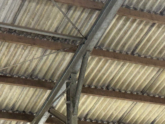Staalconstructie (31,00x60,00 mtr) (1860m²) - afbeelding 14 van  21