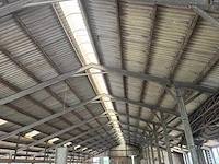 Staalconstructie (31,00x60,00 mtr) (1860m²) - afbeelding 12 van  21