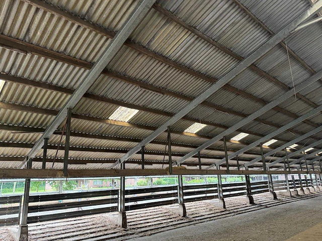 Staalconstructie (31,00x60,00 mtr) (1860m²) - afbeelding 16 van  21