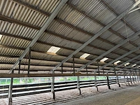 Staalconstructie (31,00x60,00 mtr) (1860m²) - afbeelding 16 van  21