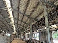 Staalconstructie (31,00x60,00 mtr) (1860m²) - afbeelding 18 van  21