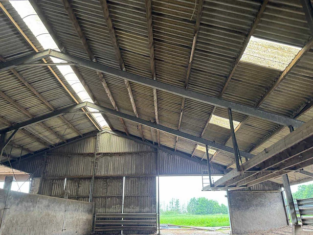 Staalconstructie (31,00x60,00 mtr) (1860m²) - afbeelding 20 van  21