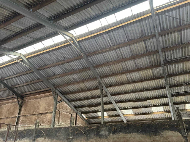 Staalconstructie (31,00x60,00 mtr) (1860m²) - afbeelding 21 van  21
