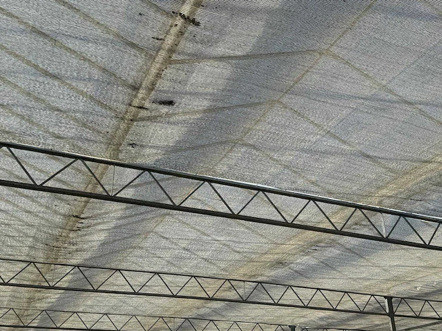 Staalconstructie (32,00x112,50 mtr) (3600m2) - afbeelding 4 van  55