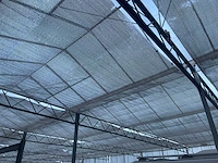 Staalconstructie (32,00x112,50 mtr) (3600m2) - afbeelding 28 van  55
