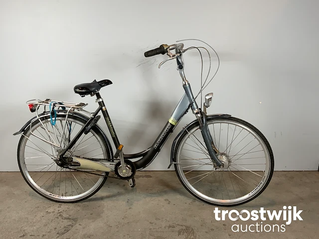 Stadsfietsen - afbeelding 3 van  9