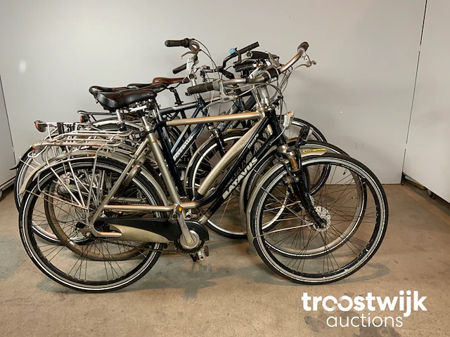Stadsfietsen - afbeelding 1 van  10