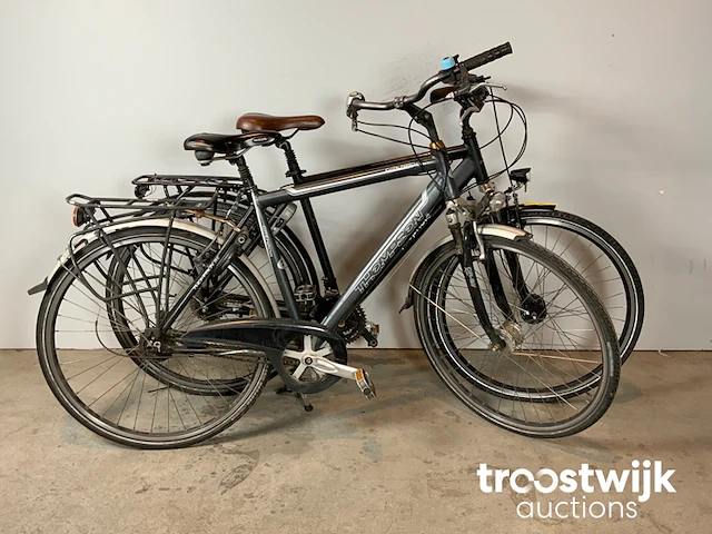 Stadsfietsen - afbeelding 6 van  10