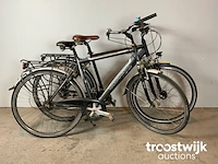 Stadsfietsen - afbeelding 6 van  10