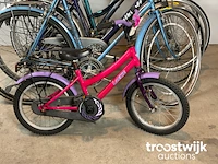 Stadsfietsen - afbeelding 3 van  12
