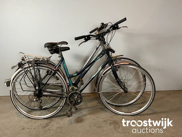 Stadsfietsen - afbeelding 8 van  12