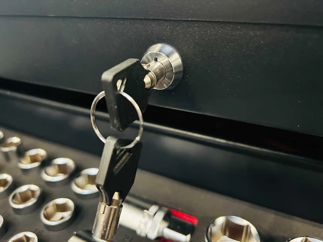 Stahlgruppe - sg2024 - 327-delige - gereedschapswagen - afbeelding 15 van  25