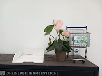 Stalen archiefkast met inhoud - afbeelding 4 van  12