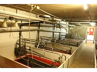 Stalinrichting hal 3 & 4 - afbeelding 2 van  16