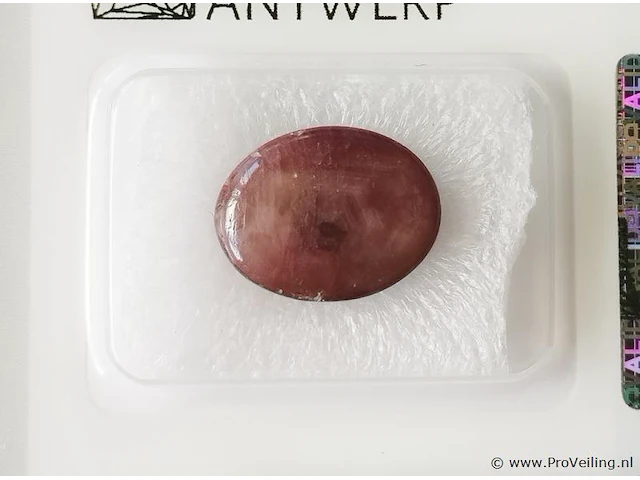 Star ruby 8.72ct gra certified - afbeelding 1 van  4