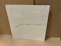 Statuario gepolijst 60x60 cm tegel 54 m² - afbeelding 1 van  3