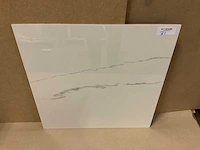 Statuario gepolijst 60x60 cm tegel 54 m² - afbeelding 2 van  3