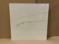Statuario gepolijst 60x60 cm tegel 54 m² - afbeelding 3 van  3