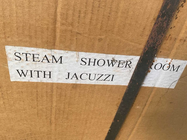 Steam shower with jacuzzi - afbeelding 1 van  6