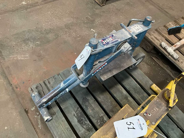 Steenknipper - afbeelding 3 van  5