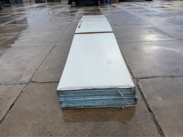 Stegdoppel plaat (20x) - afbeelding 4 van  7