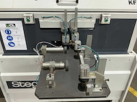 Stegherr - 2008 - kf - kopieerfrees - afbeelding 8 van  12