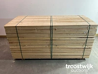 Steigerplank 250x19.5x3 cm - afbeelding 3 van  7