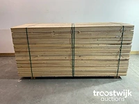 Steigerplank 250x19.5x3 cm