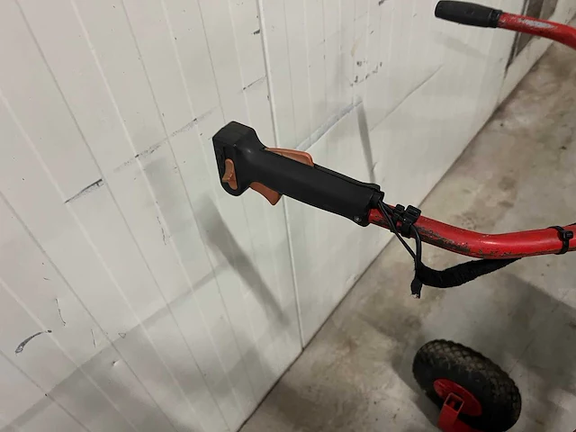 Stekken / toppen knipper - afbeelding 8 van  10