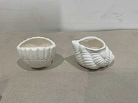 Stenen schelpen set 4 delig (11x) - afbeelding 4 van  5