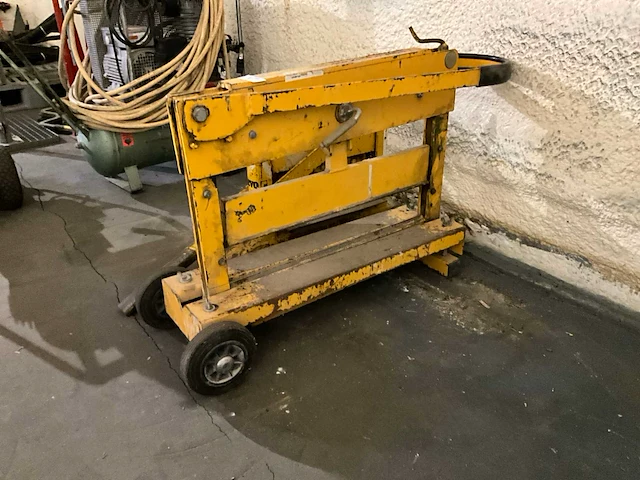 Stenenknipper (2x) - afbeelding 2 van  5