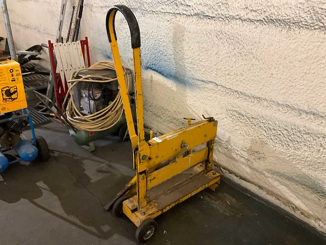 Stenenknipper (2x) - afbeelding 3 van  5