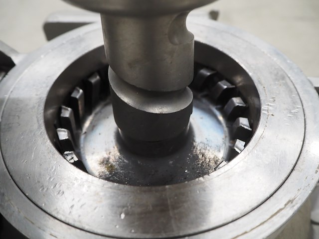 Stephan - afbeelding 11 van  13