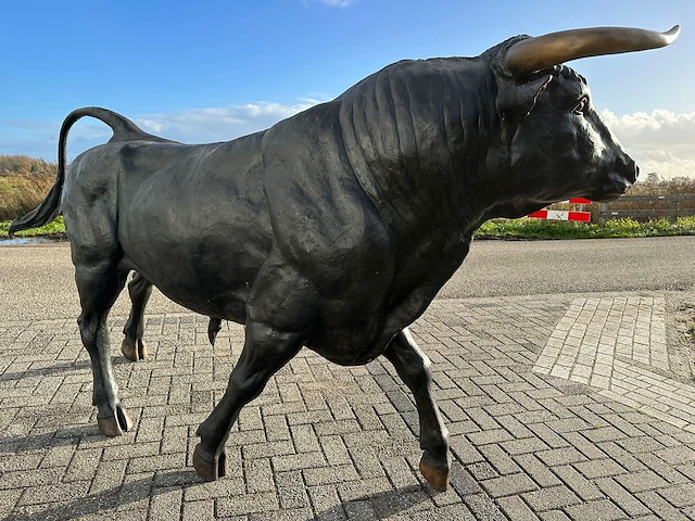 Stier - afbeelding 3 van  6