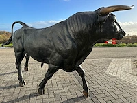 Stier - afbeelding 3 van  6